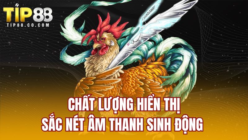 Chất lượng hiển thị sắc nét âm thanh sinh động