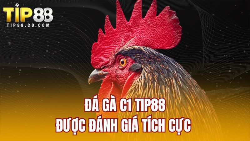 Đá gà C1 TIP88 được đánh giá tích cực