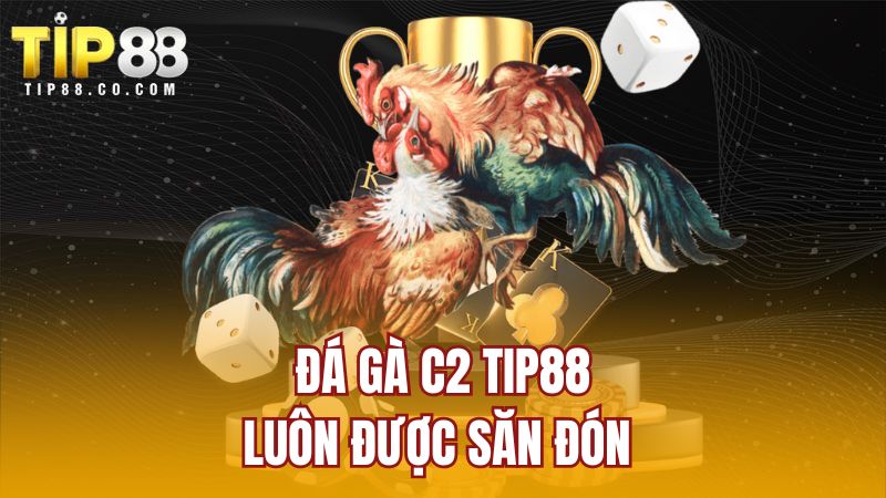 Đá gà C2 TIP88 luôn được săn đón