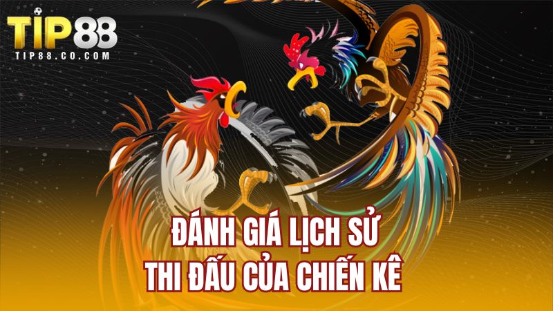 Đánh giá lịch sử thi đấu của chiến kê