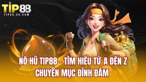 Nổ Hũ TIP88 - Tìm Hiểu Từ A Đến Z Chuyên Mục Đình Đám