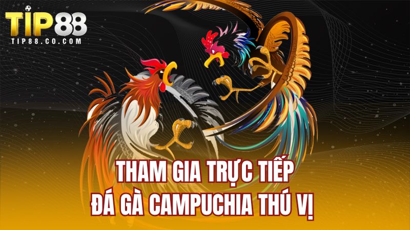 Tham gia trực tiếp đá gà Campuchia thú vị
