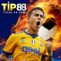 tip88.co.com-thumb 5